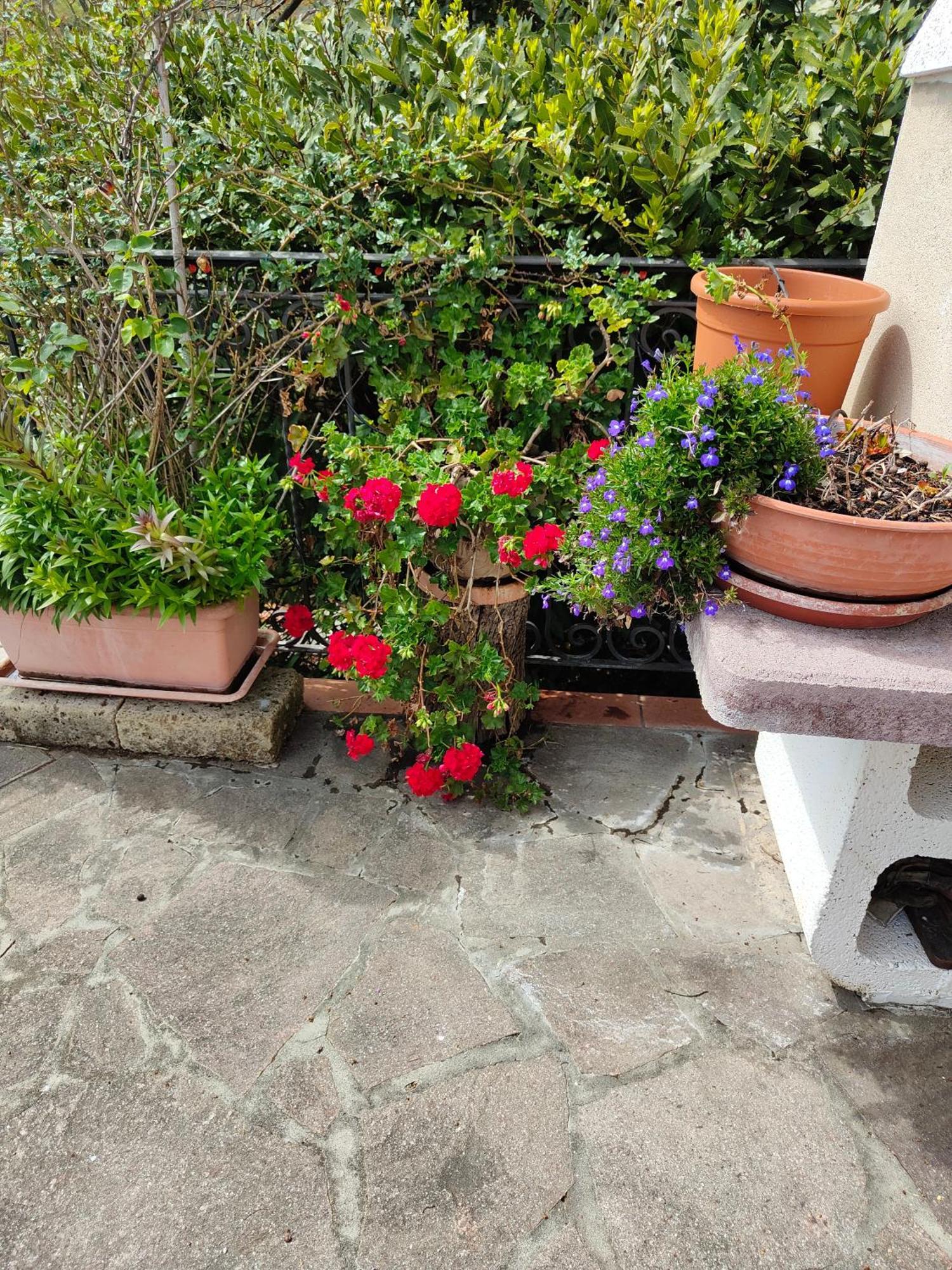 Il Diacciarello Διαμέρισμα Gabbro Εξωτερικό φωτογραφία
